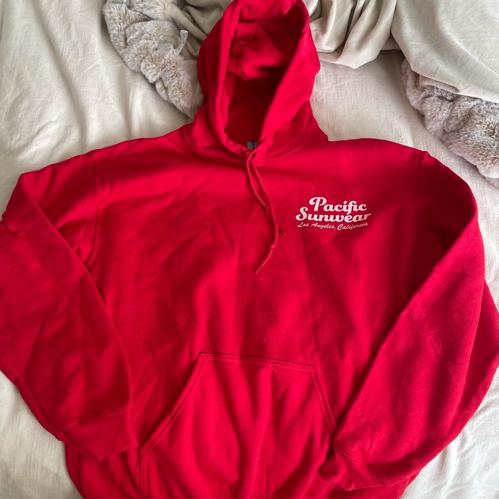Pacsun Pacific Sunwear LA Script Hoodie